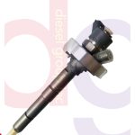 0445110877 Bosch Common Rail Injector for Nissan E25